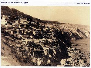 Oran - Les Genets - 1950